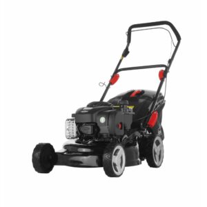 Vejapjovė Florabest briggs&stratton